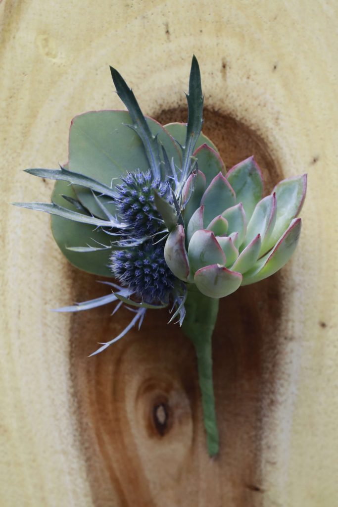 succulent boutonniere